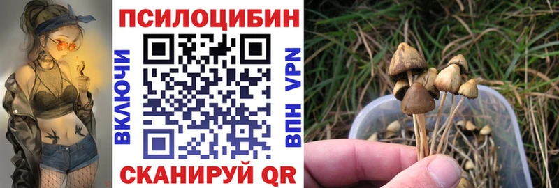 Галлюциногенные грибы прущие грибы  Клинцы 